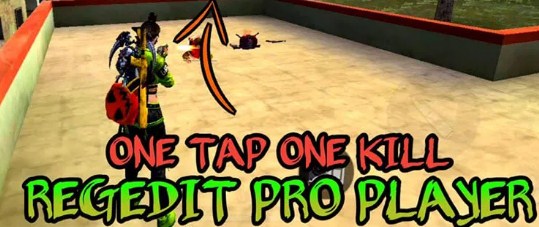 Regedit Pro FF Apk Auto Headshot