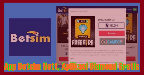 App Betsim Nett FF