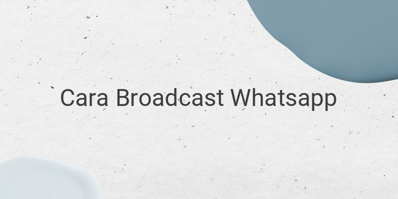 Cara Mengirim Pesan Broadcast Whatsapp