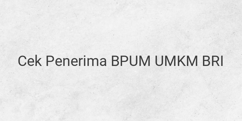 Cara Cek Penerima BPUM UMKM di EFORM BRI dan Banpresbpum