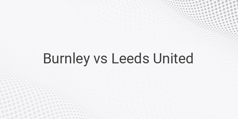 Live Streaming Liga Inggris Burnley vs Leeds Liga Inggris di Mola TV