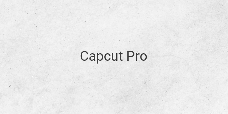 Mengapa Capcut Pro Jadi Aplikasi yang Sedang Trend?