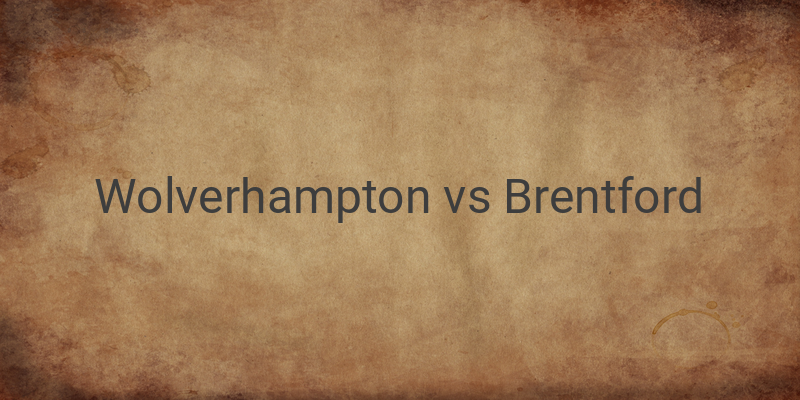 Link Live Streaming Liga Inggris Wolves vs Brentford Malam ini