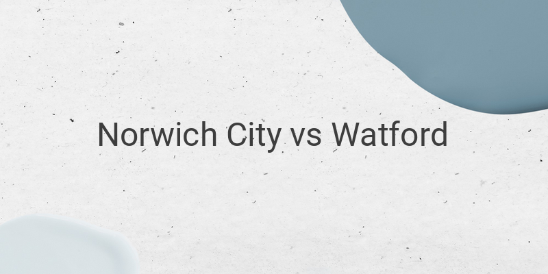 Inilah Link Live Streaming Liga Inggris Norwich vs Watford