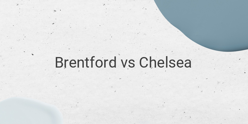 Live Streaming Liga Inggris Brentford vs Chelsea Liga Inggris di Mola TV