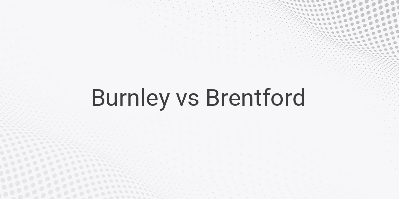Link Live Streaming Liga Inggris Burnley vs Brentford Malam ini