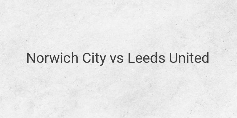 Link Live Streaming Liga Inggris Norwich vs Leeds Malam ini