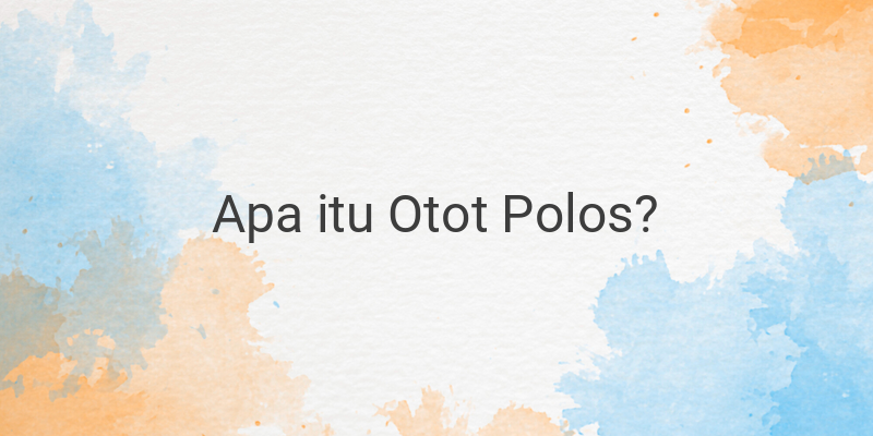 Apa itu Otot Polos? Ini Ciri-ciri, Jenis, Fungsi dan Letaknya