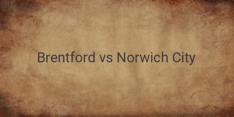 Link Live Streaming Liga Inggris Brentford vs Norwich Malam ini