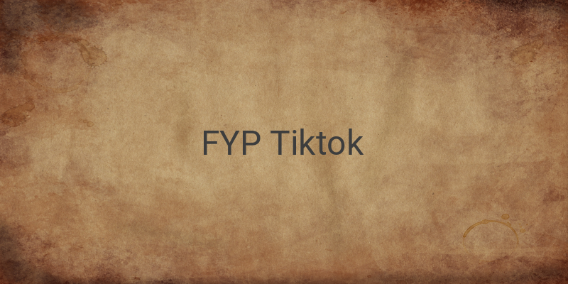 Cara Cek Jam FYP di TikTok dan Cara Strategi Banjir Viewers dan Like di TikTok