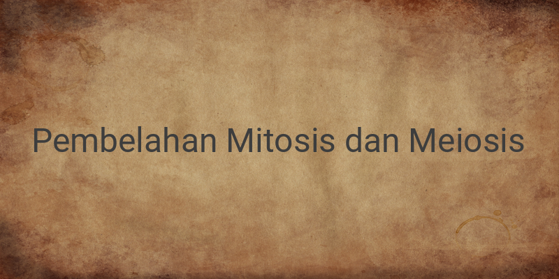 Perbedaan Pembelahan Mitosis dan Meiosis