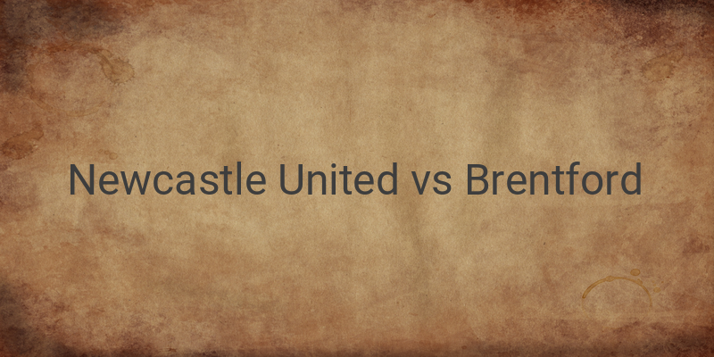 Inilah Link Live Streaming Liga Inggris Newcastle vs Brentford