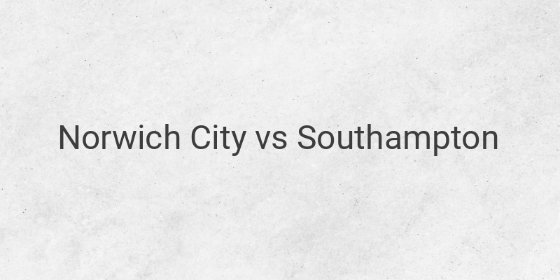 Link Live Streaming Liga Inggris Norwich vs Southampton Malam Ini