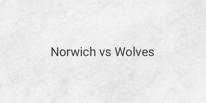Link Live Streaming Mola TV Liga Inggris Norwich vs Wolves