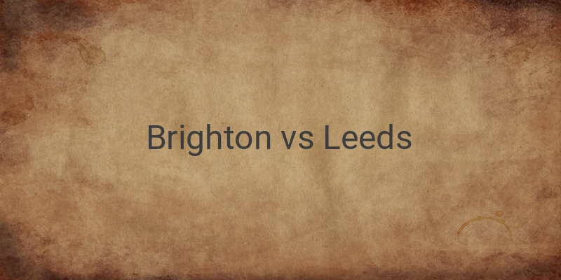 Live Streaming Liga Inggris Brighton vs Leeds di Mola TV