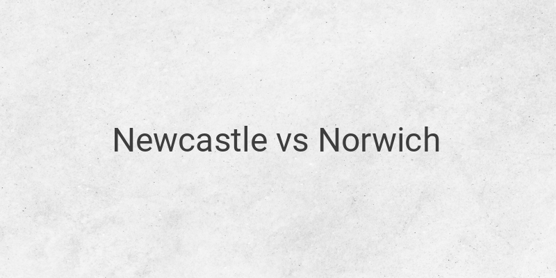 Live Streaming Liga Inggris Newcastle vs Norwich di Mola TV
