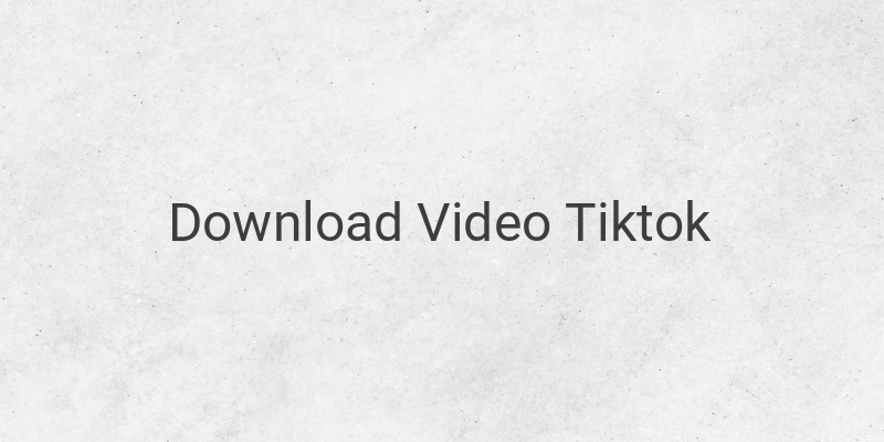 Cara Download Video TikTok Tanpa Watermark Dengan Mudah Kualitas Terbaik