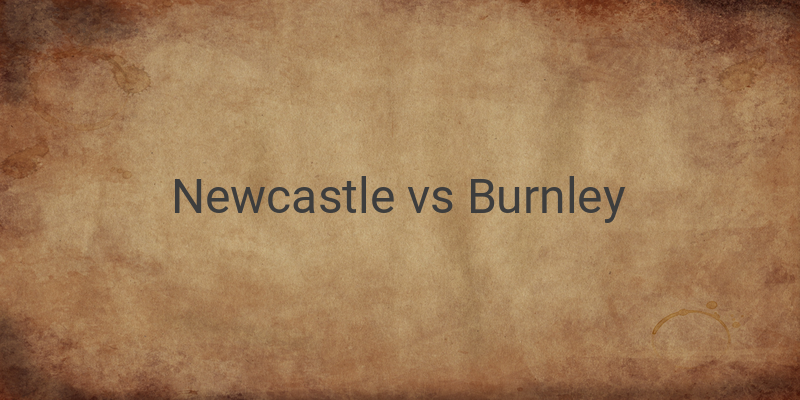 Link Live Streaming Mola TV Liga Inggris Newcastle vs Burnley