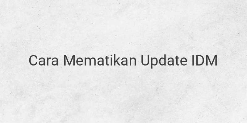 Cara Menghentikan Update IDM