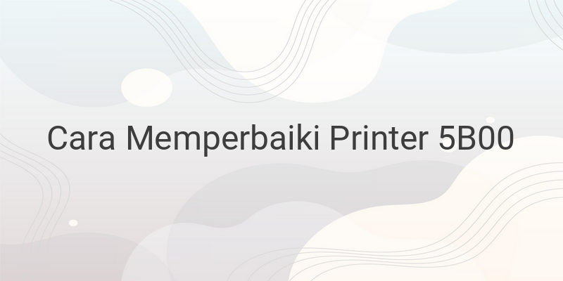 Cara Memperbaiki Printer 5B00 Yang Error