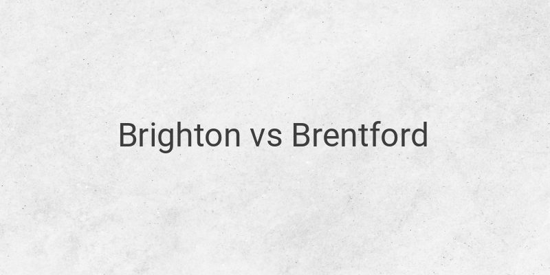 Link Live Streaming Liga Inggris Brighton vs Brentford Malam Ini
