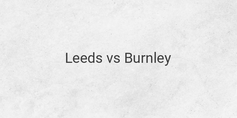 Inilah Link Live Streaming Liga Inggris Leeds vs Burnley
