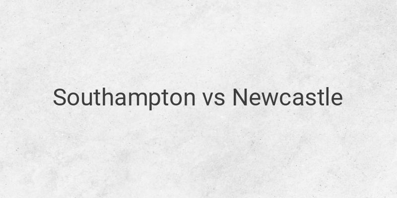 Live Streaming Southampton vs Newcastle Liga Inggris Malam Ini