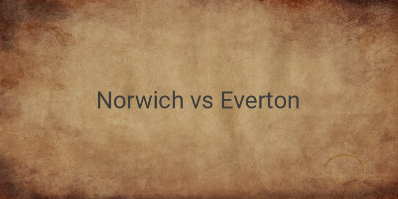 Link Live Streaming Liga Inggris Norwich vs Everton Malam Ini