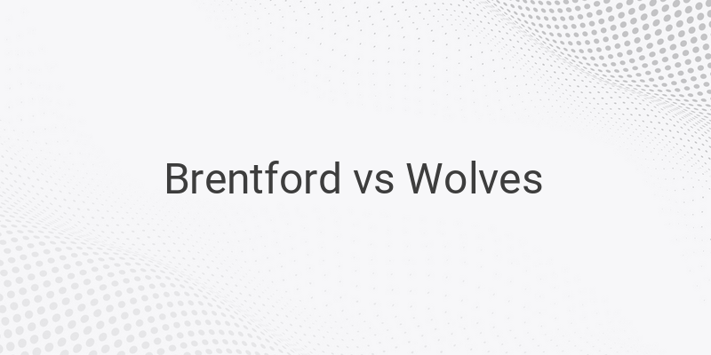 Link Live Streaming Liga Inggris Brentford vs Wolves Malam Ini