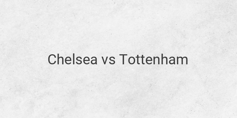 Live Streaming Liga Inggris Chelsea vs Tottenham di Mola TV