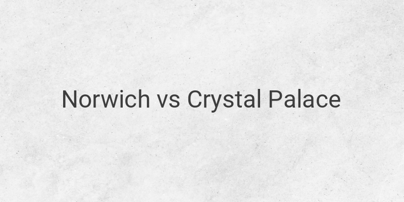Live Streaming Norwich vs Crystal Palace Liga Inggris Malam Ini