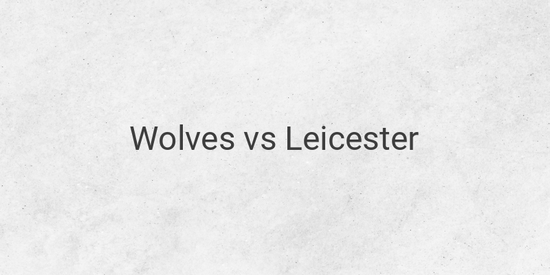 Link Live Streaming Mola TV Liga Inggris Wolves vs Leicester