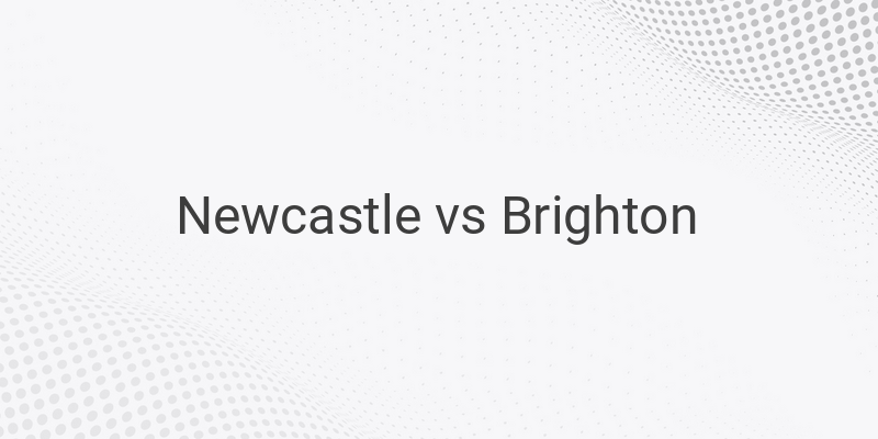 Inilah Link Live Streaming Liga Inggris Newcastle vs Brighton