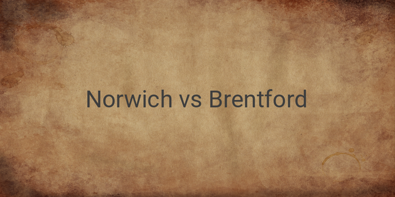 Link Live Streaming Liga Inggris Norwich vs Brentford Malam Ini