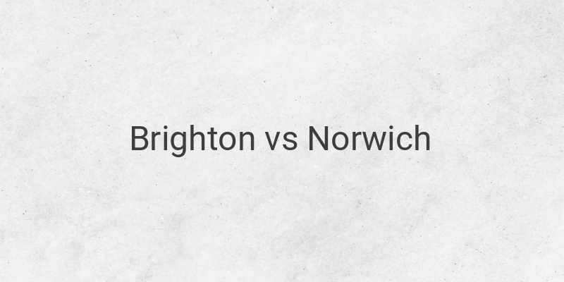 Inilah Link Live Streaming Liga Inggris Brighton vs Norwich