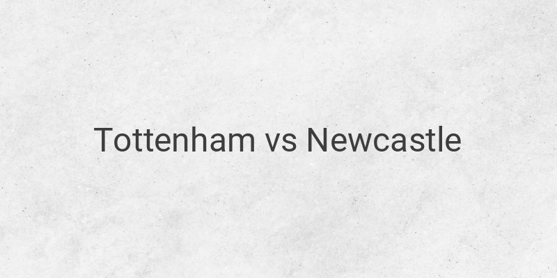 Live Streaming Liga Inggris Tottenham vs Newcastle di Mola TV