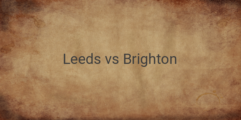 Live Streaming Liga Inggris Leeds vs Brighton di Mola TV