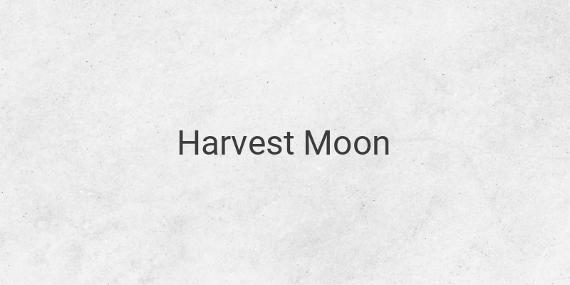 Biodata Karakter Harvest Moon Back To Nature